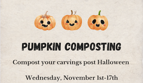 pumpkin compost