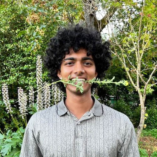 Curly haired man holding flower in mouth