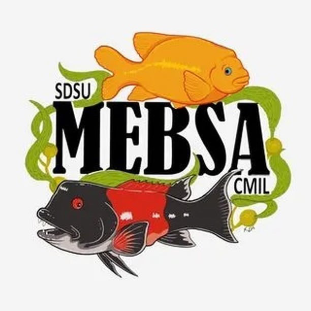 MEBSA